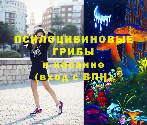 бошки Богородск